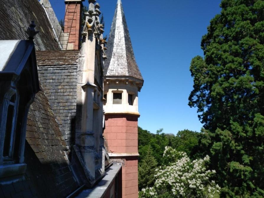 Chateau De La Vernede, La Grande Vernede Saint-Rémy-de-Chargnat Exterior foto